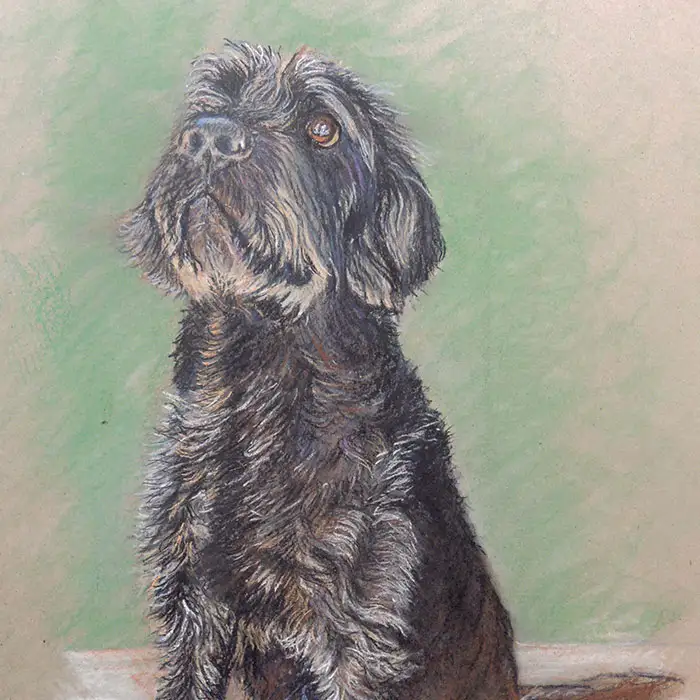 Der Alfred :: Größe 56cm x 42cm :: Pastell